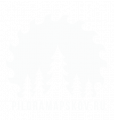 Пилорама Пскова
